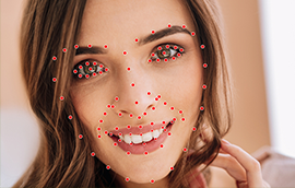 长征平台人脸关键点标注